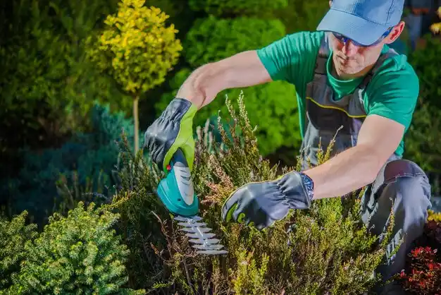 landscaping services Monsey